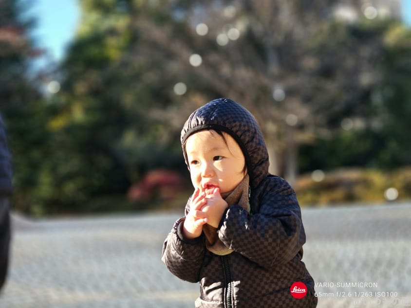 aquos r9 proでポートレート撮影した写真 | スマホを検証してみた AQUOS R9 pro カメラ AQUOS R9 proでポートレート撮影した写真